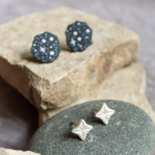 Load image into Gallery viewer, Stargazer Studs