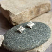 Load image into Gallery viewer, Tiny Stargazer Studs