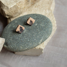 Load image into Gallery viewer, Tiny Earth Pine Tree Studs